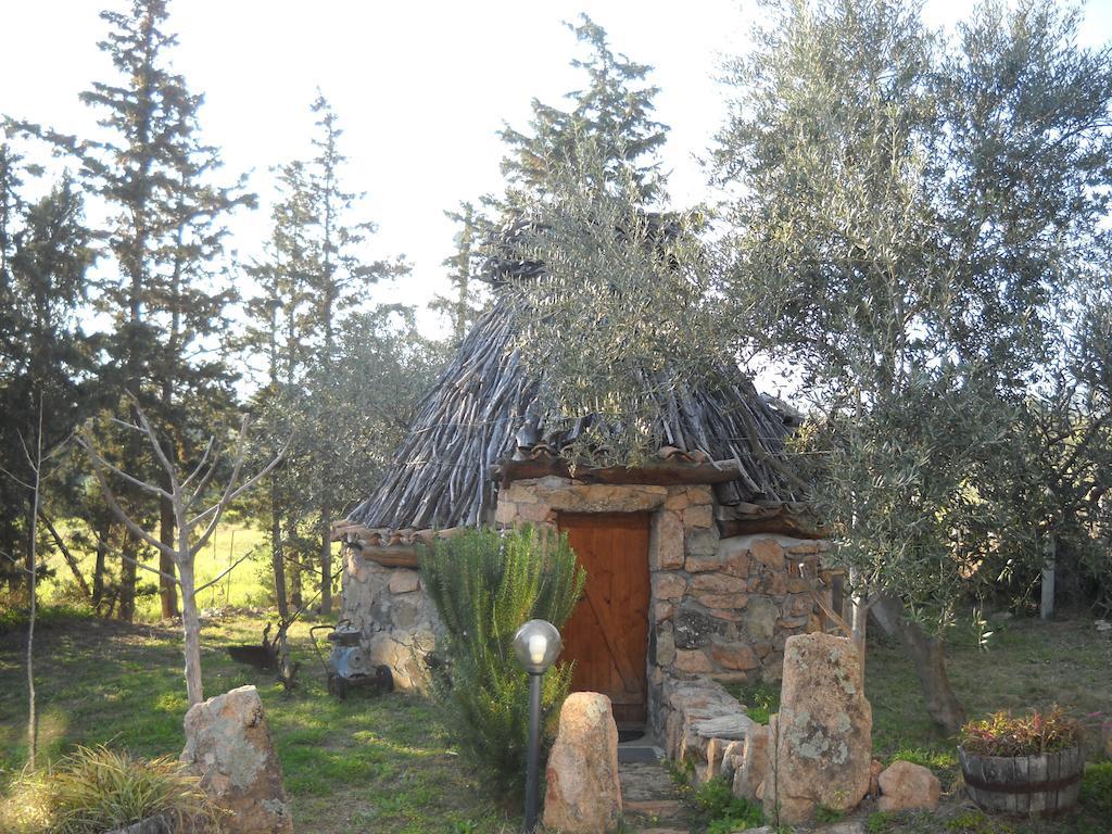 Bed and breakfast Munduge *