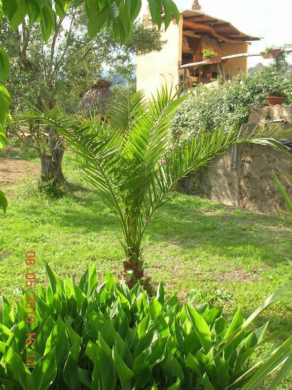 Bed and breakfast Munduge Lotzorai