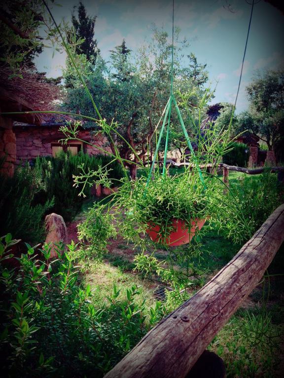 Bed & Breakfast Munduge *